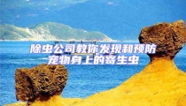 除蟲公司教你發現和預防寵物身上的寄生蟲