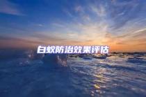 白蟻防治效果評估
