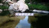 滅蟑螂徹底法