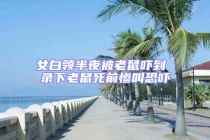 女白領半夜被老鼠嚇到 錄下老鼠死前慘叫恐嚇