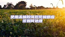 使用殺蟑膠餌后死蟑螂應(yīng)該如何處理