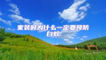家裝時為什么一定要預防白蟻