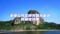 殺蟲公司怎樣滅鼠才能達到最佳效果