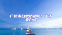 廣州市白蟻防治所:關(guān)于家白蟻