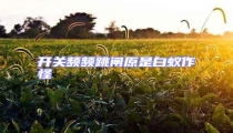 開關(guān)頻頻跳閘原是白蟻?zhàn)鞴? uk-img>
                                    </a>
                                </div>
                            </li>
                                                        <li id=