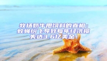 牧場奶牛甩飼料的真相:蚊蠅紛飛導致每年經濟損失達3.6億美金!
