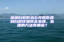 深圳白蟻防治公司教你遇到白蟻該如何去處理，處理的方法有那些？