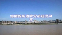 蟑螂的防治常見(jiàn)小知識(shí)問(wèn)答