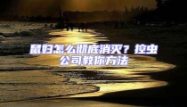 鼠婦怎么徹底消滅?控蟲公司教你方法