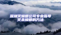 深圳滅蟑螂公司專業指導滅殺蟑螂的方法