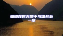 蟑螂在你無感中與你共處一室