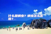 什么是螨蟲？螨蟲怎么去除？