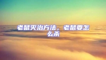 老鼠滅治方法,老鼠要怎么殺