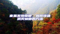 家里發現蟑螂,如何快速消滅蟑螂的方法