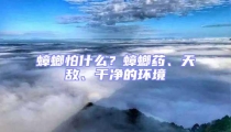 蟑螂怕什么?蟑螂藥、天敵、干凈的環(huán)境