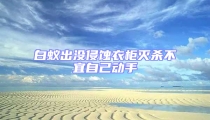 白蟻出沒侵蝕衣柜滅殺不宜自己動手