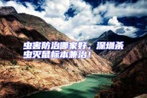 蟲害防治哪家好，深圳殺蟲滅鼠標本兼治！