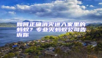 如何正確消滅進(jìn)入家里的螞蟻?專業(yè)滅螞蟻公司告訴你