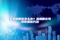 家里蟑螂多怎么辦？殺蟑螂公司教你最佳方法