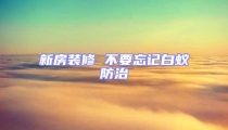 新房裝修 不要忘記白蟻防治