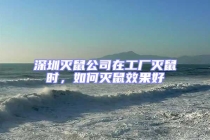 深圳滅鼠公司在工廠滅鼠時，如何滅鼠效果好