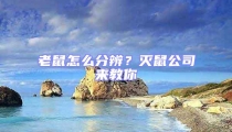 老鼠怎么分辨？滅鼠公司來(lái)教你