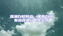 深圳白蟻防治:家有白蟻有翅成蟲(chóng)分飛怎么辦