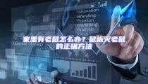 家里有老鼠怎么辦?鼠板滅老鼠的正確方法