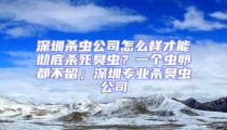 深圳殺蟲公司怎么樣才能徹底殺死臭蟲?一個蟲卵都不留;深圳專業殺臭蟲公司