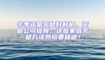 冬季正是滅鼠好時機,滅鼠公司提醒,這些家庭滅鼠方法妙招要知道!