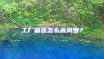 工廠宿舍怎么殺臭蟲?