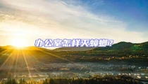 辦公室怎樣滅蟑螂?