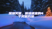 深圳滅鼠,因地適宜的4個滅鼠方法