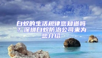 白蟻的生活規律您知道嗎？深圳白蟻防治公司來為您介紹
