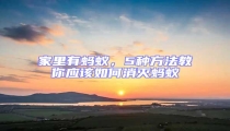 家里有螞蟻,5種方法教你應該如何消滅螞蟻