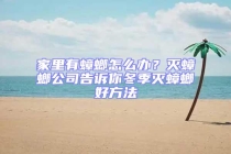家里有蟑螂怎么辦？滅蟑螂公司告訴你冬季滅蟑螂好方法