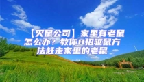 【滅鼠公司】家里有老鼠怎么辦?教你8招驅(qū)鼠方法趕走家里的老鼠