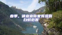 春季,請(qǐng)查查你家有沒有白蟻危害