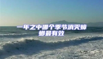 一年之中哪個季節消滅蟑螂最有效