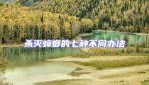 殺滅蟑螂的七種不同辦法
