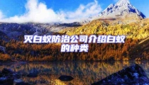 滅白蟻防治公司介紹白蟻的種類