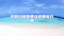 滅鼠過程需要注意哪些方面