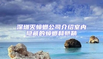 深圳滅蟑螂公司介紹室內隱藏的蟑螂和卵鞘