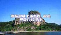 鋼筋混凝土雖堅固 但也難敵白蟻侵蝕