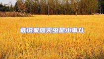 誰說家庭滅蟲是小事兒