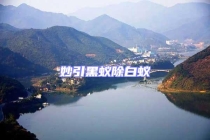 妙引黑蟻除白蟻