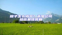 蚊子怎么消滅?殺蟲公司給您最佳答復(fù)