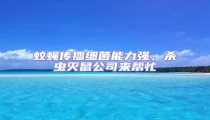 蚊蠅傳播細(xì)菌能力強(qiáng),殺蟲滅鼠公司來幫忙