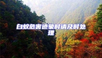 白蟻危害跡象時(shí)請及時(shí)處理