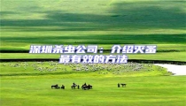 深圳殺蟲公司:介紹滅蚤最有效的方法